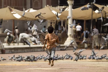 Foto op Plexiglas Boy Scattering Pigeons © JeremyRichards
