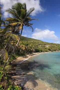 Tropical beach on Bequia Island, St. Vincent in the Caribbean