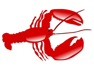 lobster