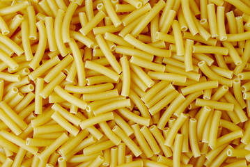 Italian pasta