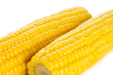 corn