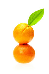 oranges with leaves