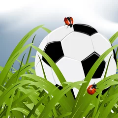Poster officiële WK 2010 bal tussen gras © Creativeapril