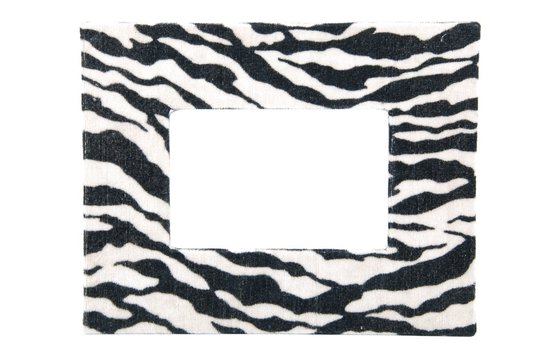 Zebra pattern photo-frame on white