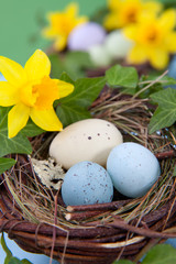 Obraz na płótnie Canvas Easter eggs and daffodils