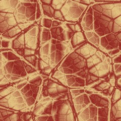 Obraz premium abstract red net background
