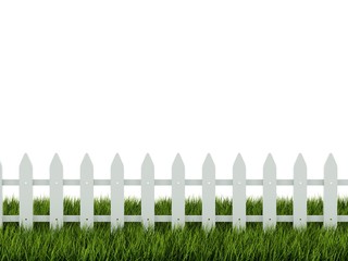 Fence on green grass