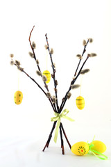 Easter simbol yellow eggs hanging on the willow