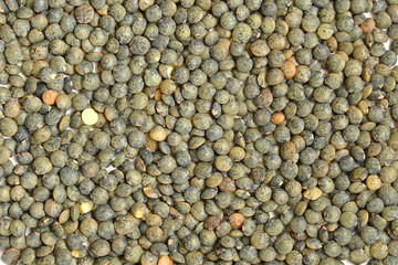 Fond de lentilles vertes du Puy, arrière plan de légumineuses, nutrition et alimentation