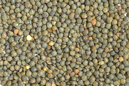Fond de lentilles vertes du Puy, arri&egrave;re plan de l&eacute;gumineuses, nutrition et alimentation