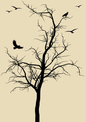 tree with birds, vector