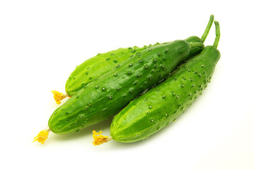cucumbers