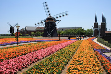 ハウステンボスの花畑