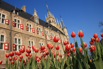 ハウステンボスのチューリップ