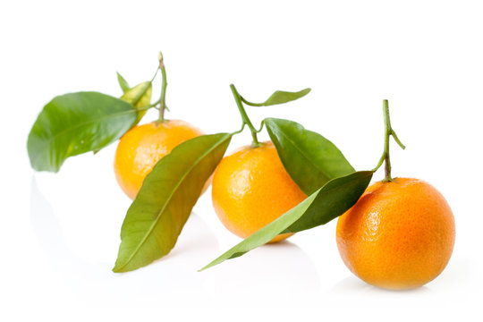 fresh mandarin fruits and green leaves