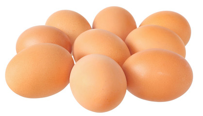 Egg