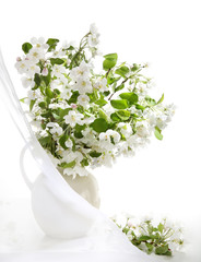 Blossoming spring branches in jug