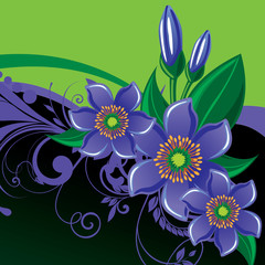 Flowers background