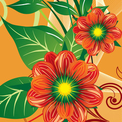Flowers background