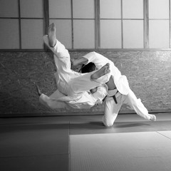 judo fight - obrazy, fototapety, plakaty