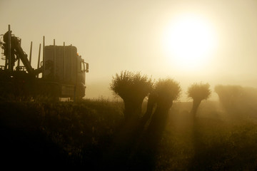 truck a road