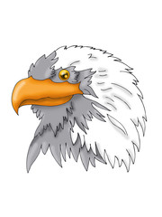 eagle head