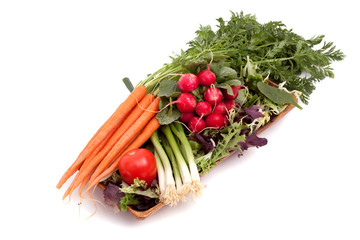 Fresh vegetables, carrots, radishes