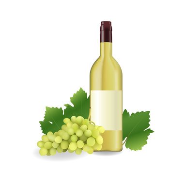 bottle of white wine and grape vector illustration