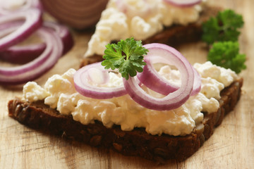 Healthy Snack with Curd Cheese