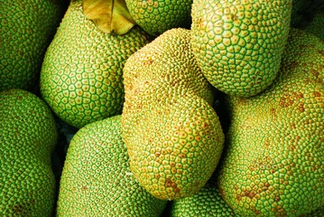 Jackfrucht - jackfruit