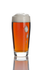 glas mit dunklem bier isoliert