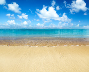 sand of beach caribbean sea