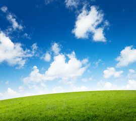 field of grass and perfect sunset sky