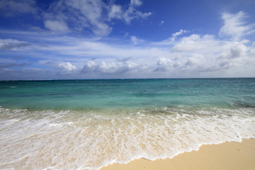 seychelles denis island mare