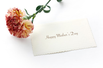 Carnation and mother's day greeting card