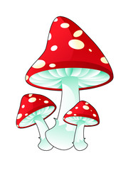 Mushroom