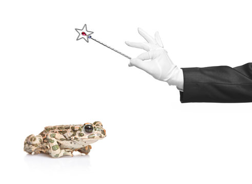 Magician holding a magic wand and a frog isolated on white