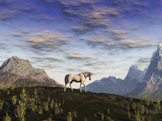 Unicornio © anibal