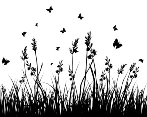 grass background