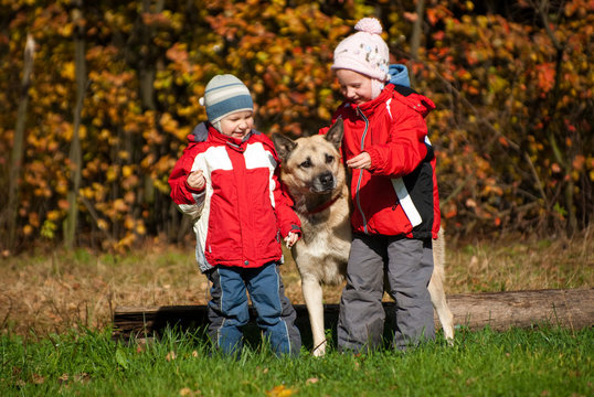 Children playing with dog in autumn forest