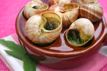 Weinbergschnecken