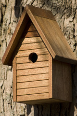 Cedar Birdhouse
