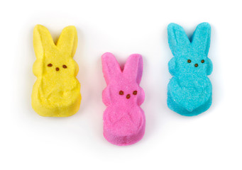 Sweet Bunnies