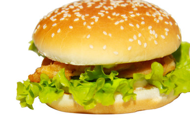 Tasty hamburger isolated on white background