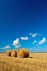 hay on field under skies