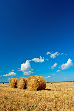 hay on field under skies