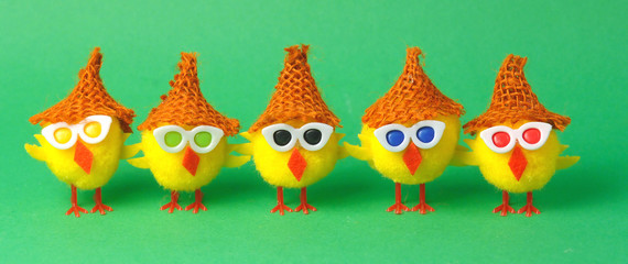 Pulcini © Marzia Giacobbe