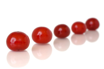 Sour cherries isolated on white background