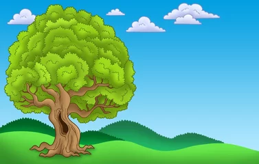 Photo sur Plexiglas Animaux de la forêt Paysage avec grand arbre feuillu