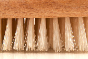 Background brush bristles. © creative soul
